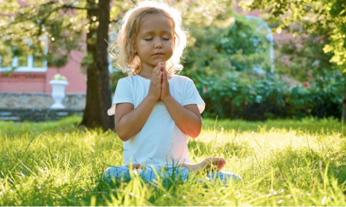 Welcome to Mindfulness | SATs Companion